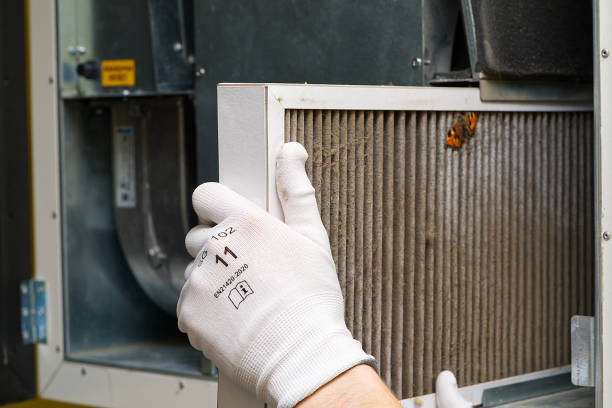 Best Affordable HVAC Duct Cleaning  in Affton, MO