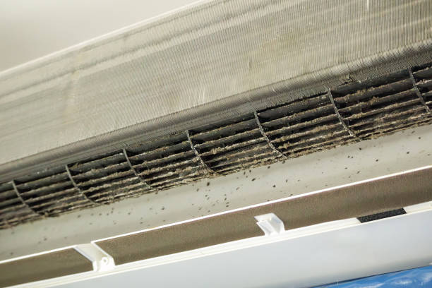 Best HVAC Maintenance and Cleaning  in Affton, MO